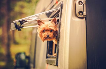 Dog with its head out the window of an RV