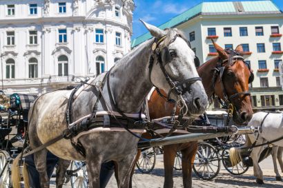 Horse carriage